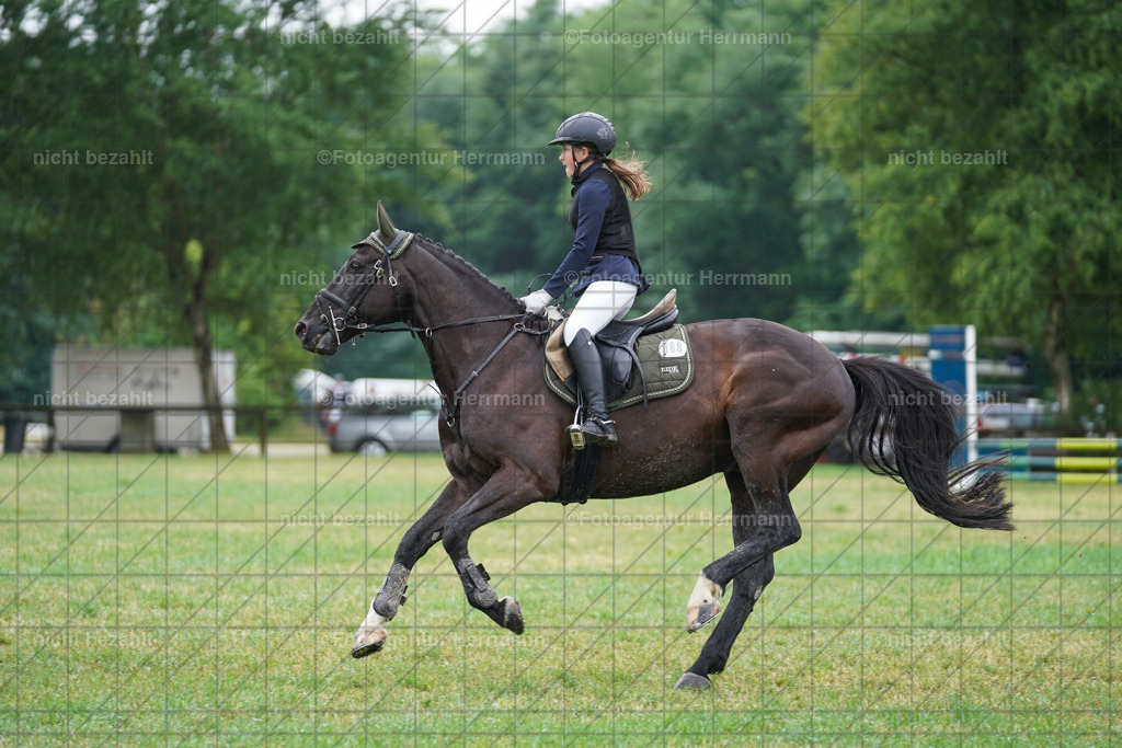 20230701-FAH00364 | Reitturnier Grafing, 2023, Grafing-Aiterndorf, Spribgturnier, Dressurturnier, Bilder, Qualifikation Nürnberger Burgpokal, Fotoagentur Herrmann, Turnierfotografen Bayern, Turnierbilder Bayern, Reitrsportfoto