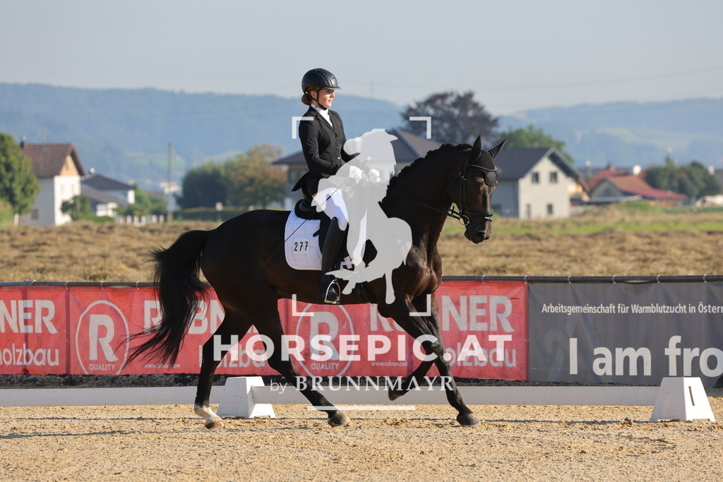 0P6A8419 | Willkommen bei Brunnmayr - Design & Fotografie – Ihrem Spezialisten für Reitturniere und Pferdeveranstaltungen in Oberösterreich, Salzburg und Bayern! Seit über 17 Jahren sind wir leidenschaftlich dabei.