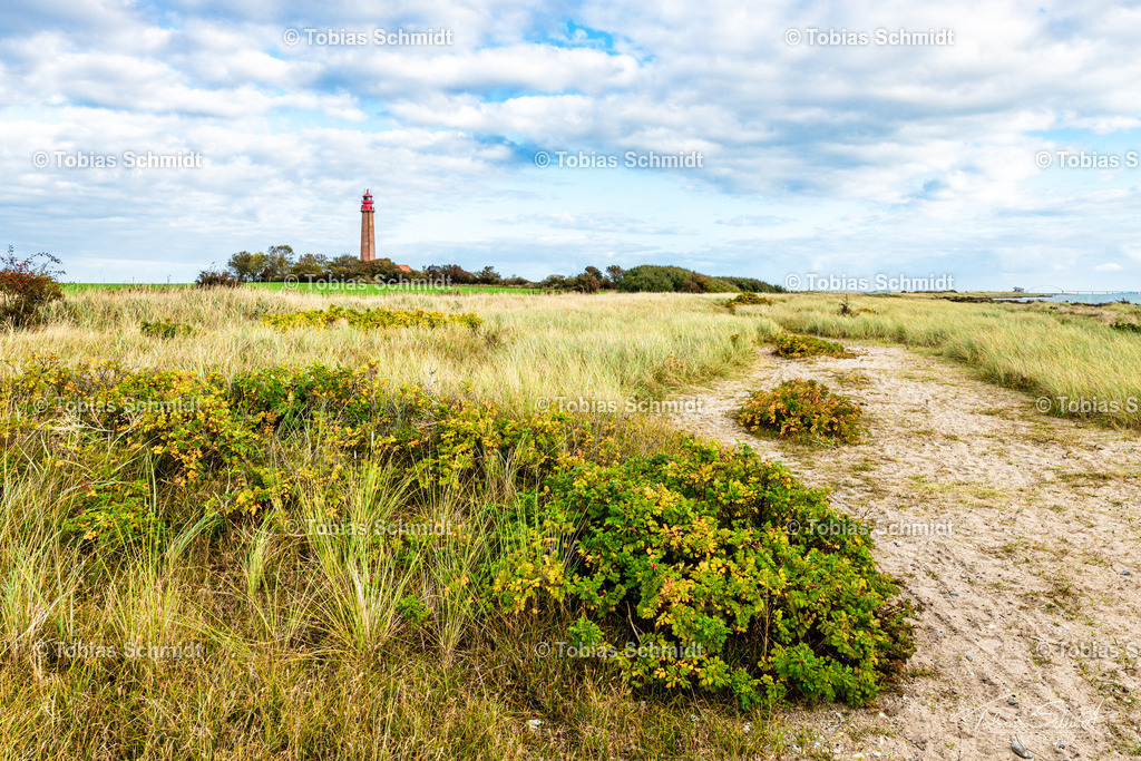 Fehmarn__DSC7672 | Fotoprodukte, Kalender und Wanddeko direkt vom Fotografen auf Fehmarn. Ob Wandbild auf Alu-Dibond, hinter Acrylglas oder auf Leinwand – hier können Sie Ihr Lieblingsbild kaufen. - Realisiert mit Pictrs.com