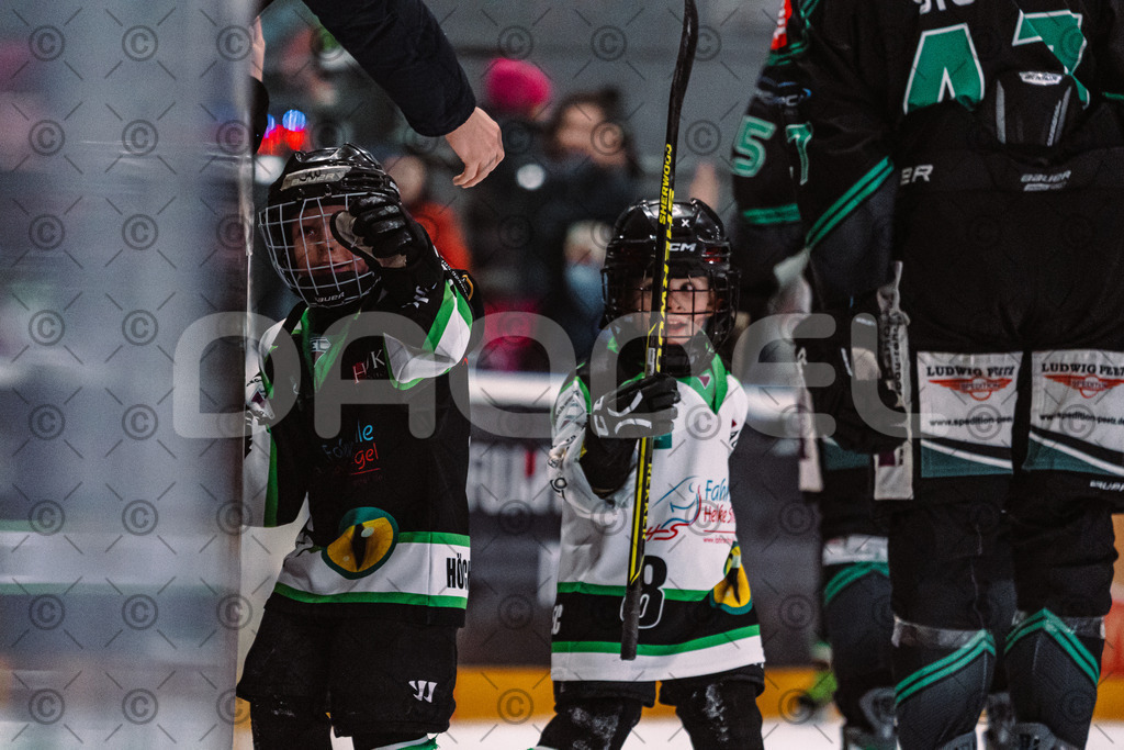 Alligators_vs_Erding_01_02_2026-32 | Höchstadt Alligators Fotogalerie: Eishockey-Action aus Franken. Professionelle Spielfotos, Portraits & Stadionbilder zum Download. Jetzt entdecken! - Realisiert mit Pictrs.com