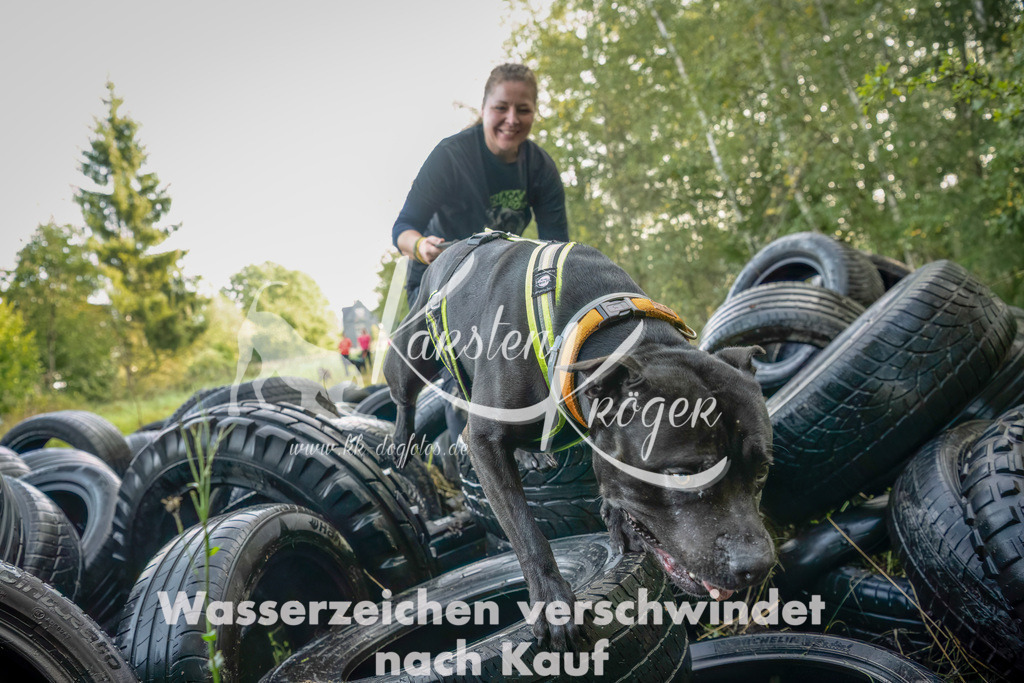 1028_ZZ94479-Bearbeitet | kk-dogfotos