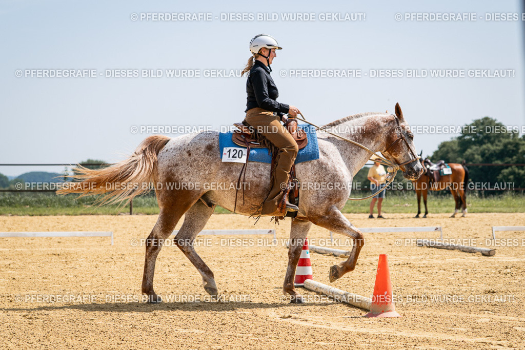 DSC00583 | Pferdegrafie