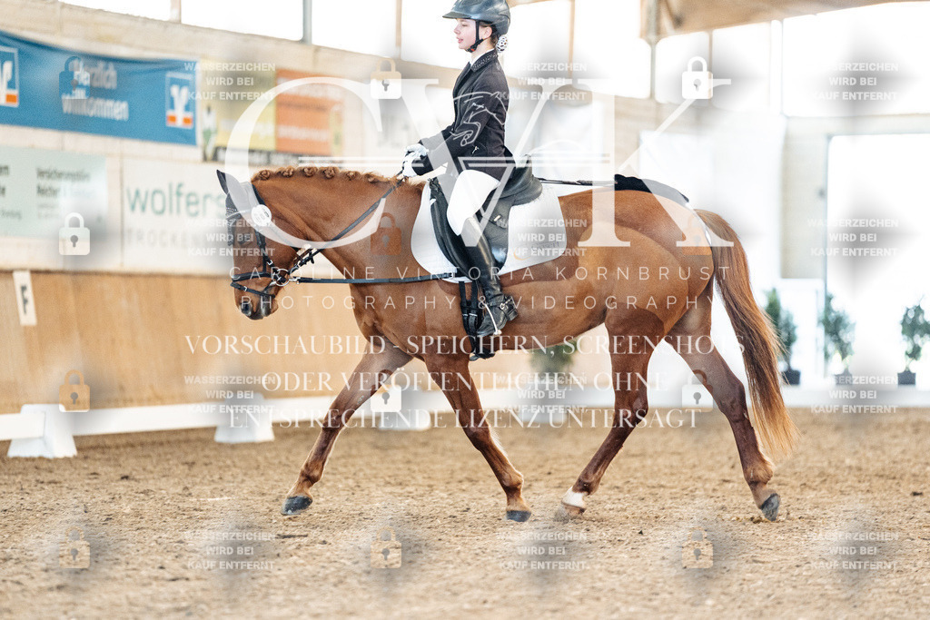 CK907918 | Turnierfotografie Pferdefotografie Trier Rheinland-Pfalz Pferdesport Reitsport Tierfotografie Sportfotografie Pferdevideo Pferdevideografie Equestrianvideography equestrianphotography  - Realisiert mit Pictrs.com