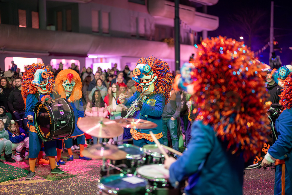 203_Umzug_Fasnacht_Reinach__kunzmedia.ch | OnlineShop für Bilder kunzmedia.ch