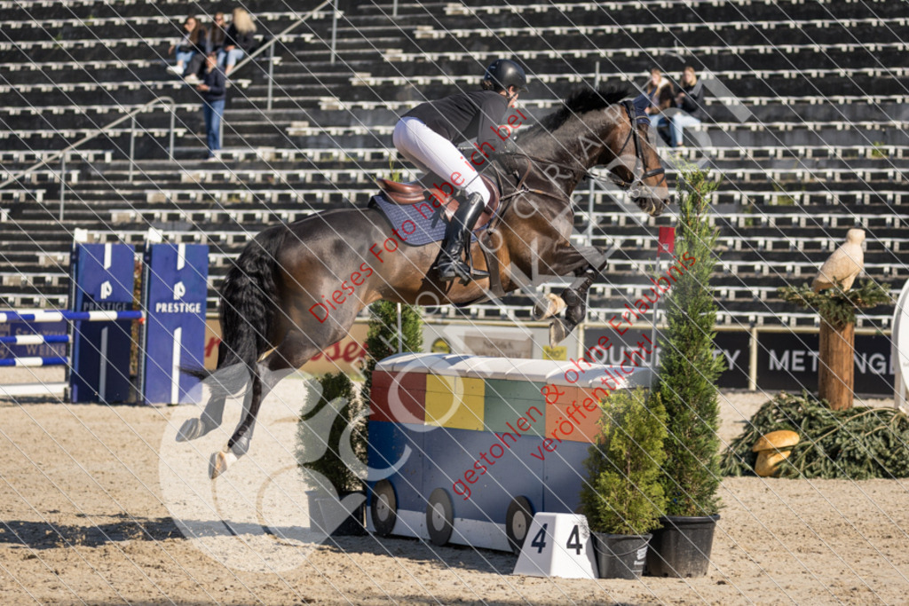 IMG_3322 | Sport-, Event- und Tierfotos in Profiqualität. Einfach auswählen, bestellen und herunterladen. Dein Moment – perfekt festgehalten.
