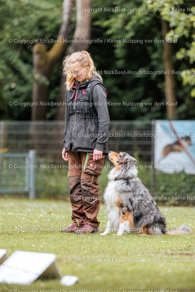 RO-Blumenthal-2026-Nickbest-Hundefotografie-2849 | Dein Hund! Dein Moment! Deine Erinnerungen! Hundefotografie in Bremen Blumenthal. Ich fange die besonderen Momente deines Vierbeiners ein – ob Indoor mit Blitzanlage oder in der freien Natur. Sicher dir dein Moment und dein Termin für eure Erinnerungen.