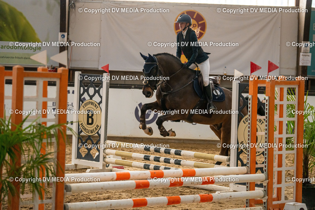 Kranichstein Tag 2-0826 | dv-media-shop - Realisiert mit Pictrs.com