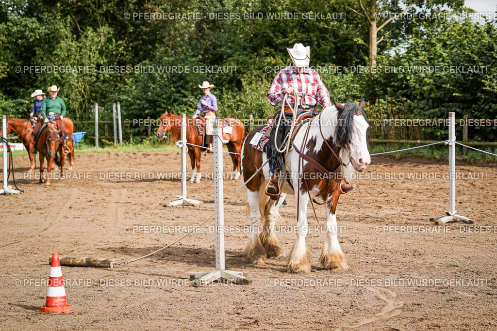 DSC09954 | Pferdegrafie