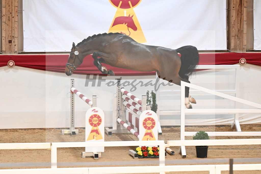 Kat.-Nr. 28 v. Million Dollar_Isaak_3261749 | hf-fotografie - Realisiert mit Pictrs.com