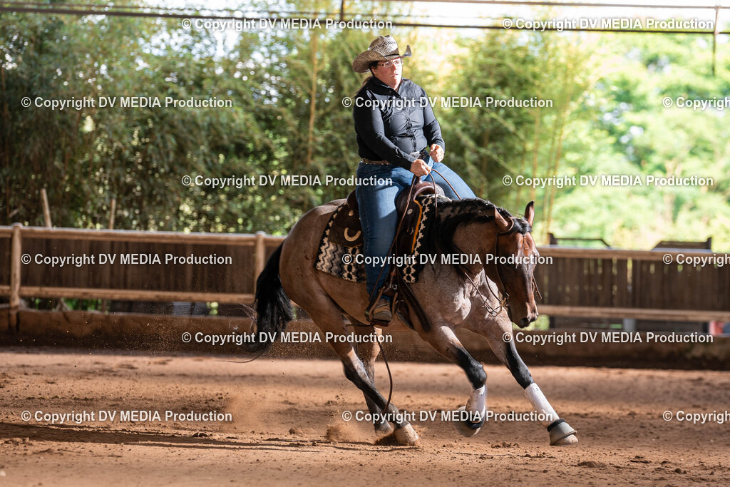 Erbach Tag 2-0990 | dv-media-shop - Realisiert mit Pictrs.com