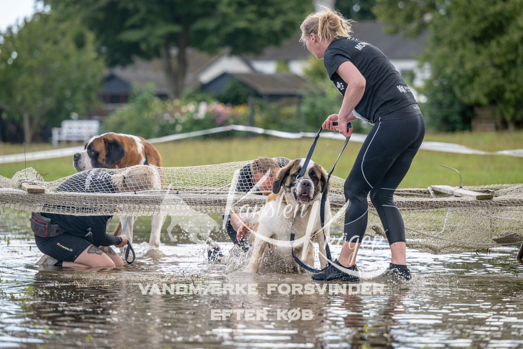 1508_ZZ91121 | kk-dogfotos