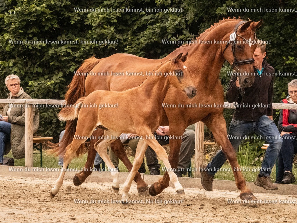 A10I1303 | photographylinaismer - Realisiert mit Pictrs.com