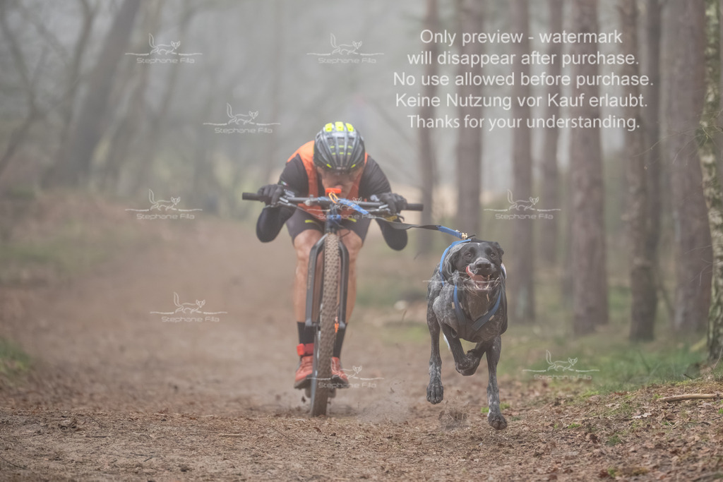 Scooter1-1 | stephaniefillaphotographie - Realisiert mit Pictrs.com