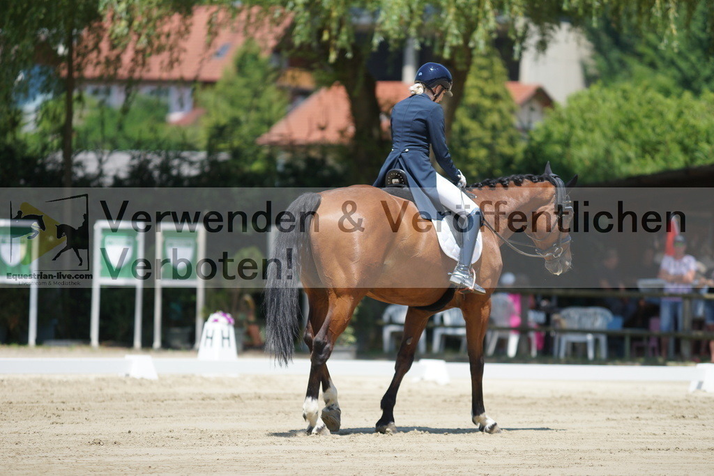 DSC03462 | equestrian-live-com