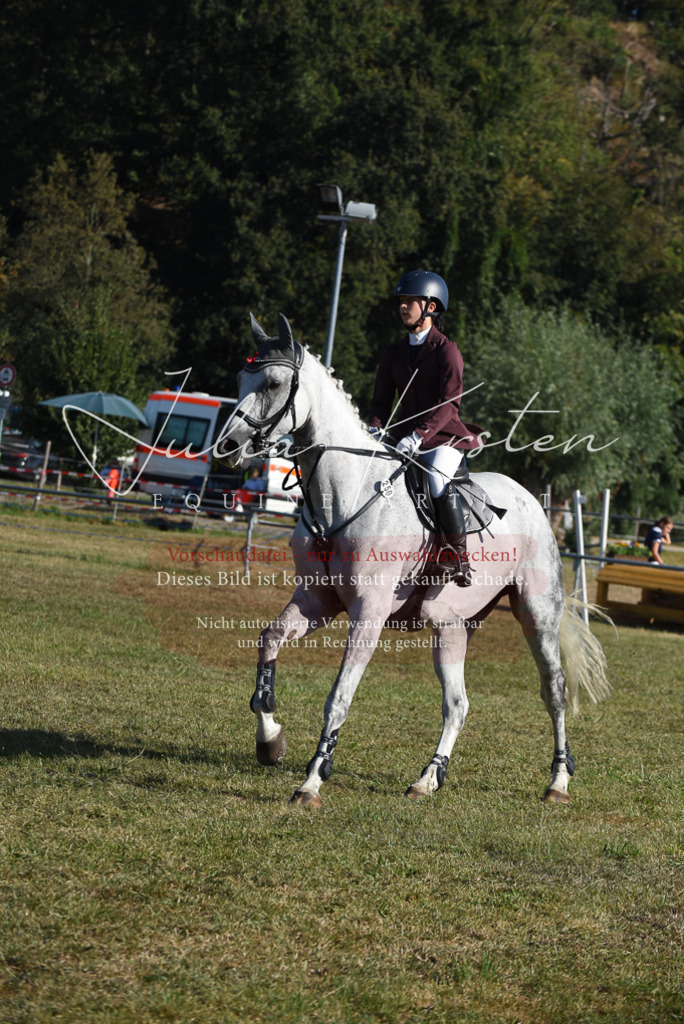 DSC_5256 | Pferde- und Turnierfotografie in Westsachsen. Pferdeportraits, Auftragszeichnungen und intuitive Kunst.