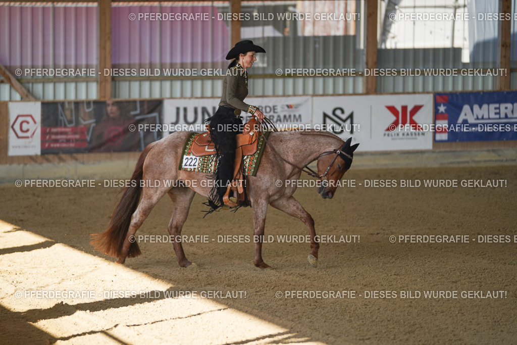 DSC09199 | Pferdegrafie