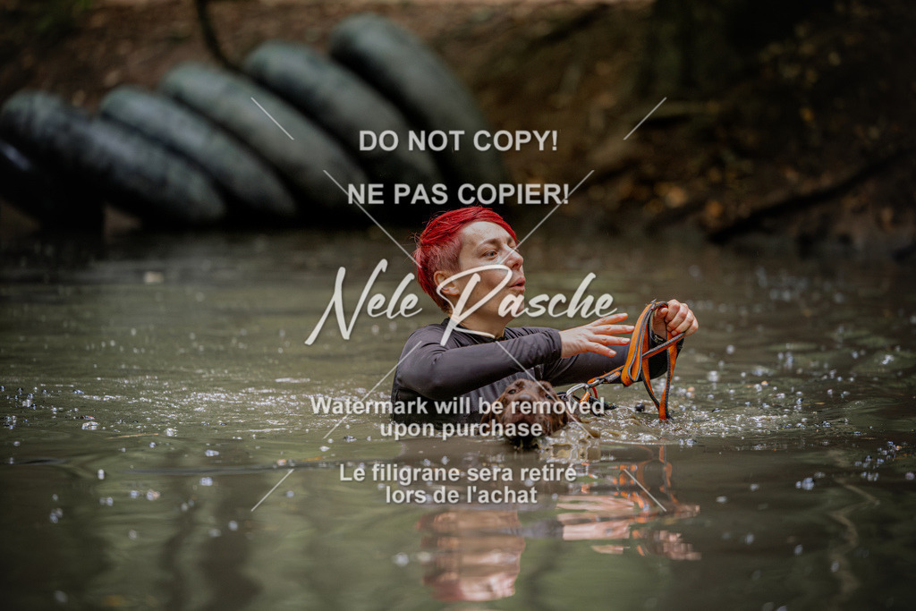 nelerasche_SaWingst1130-1200_184 | nelerasche
