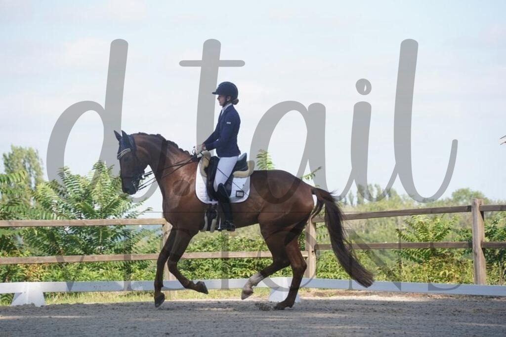 tgbhsonntag (479) | d.tail Visions - Shop - Realisiert mit Pictrs.com