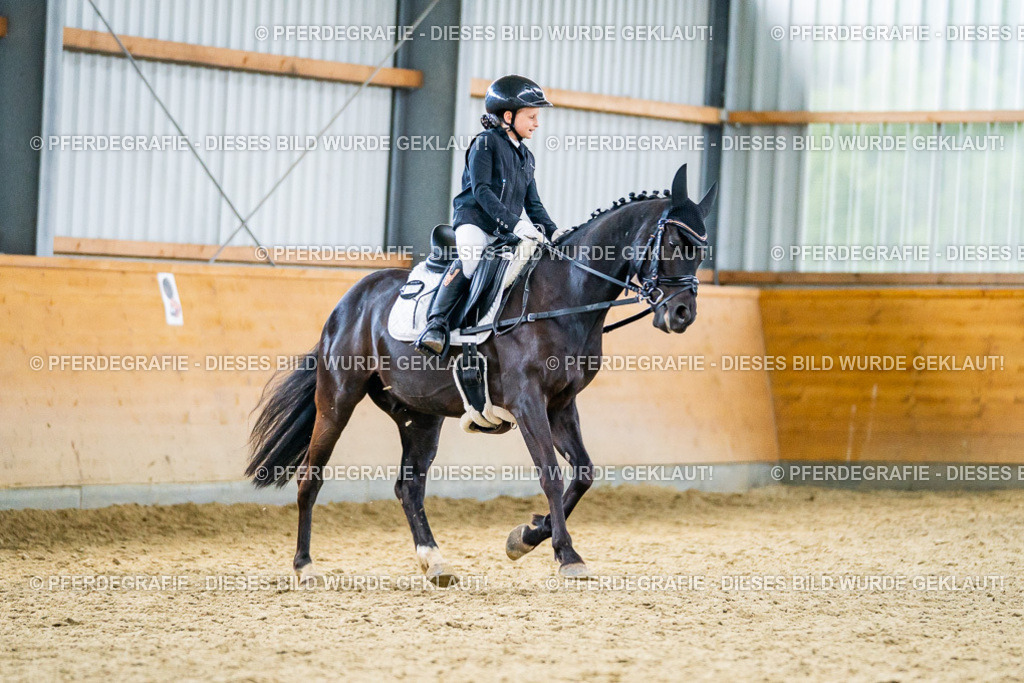 DSC04749 | Pferdegrafie