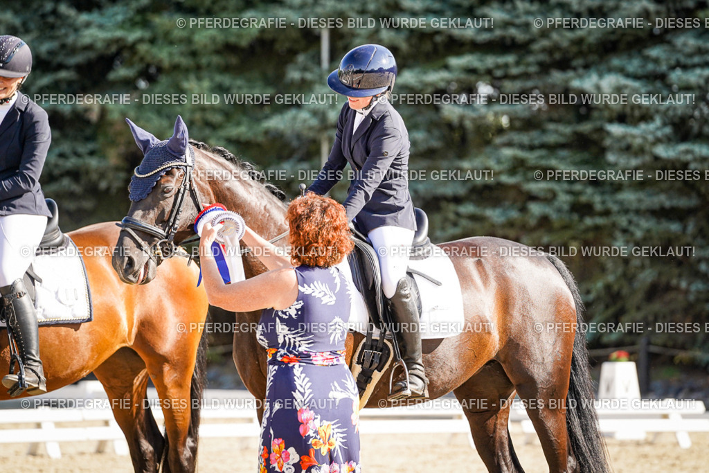 DSC00107 | Pferdegrafie