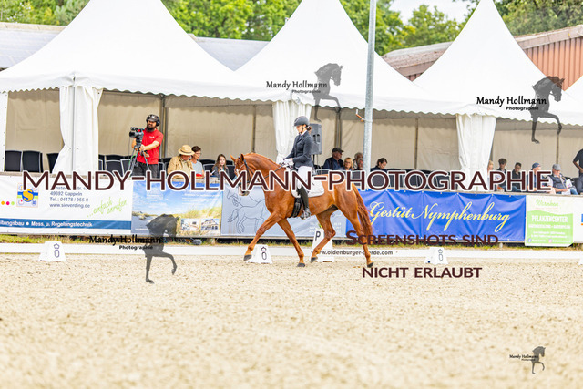 SW 4-22 | mandyhollmannphotographie