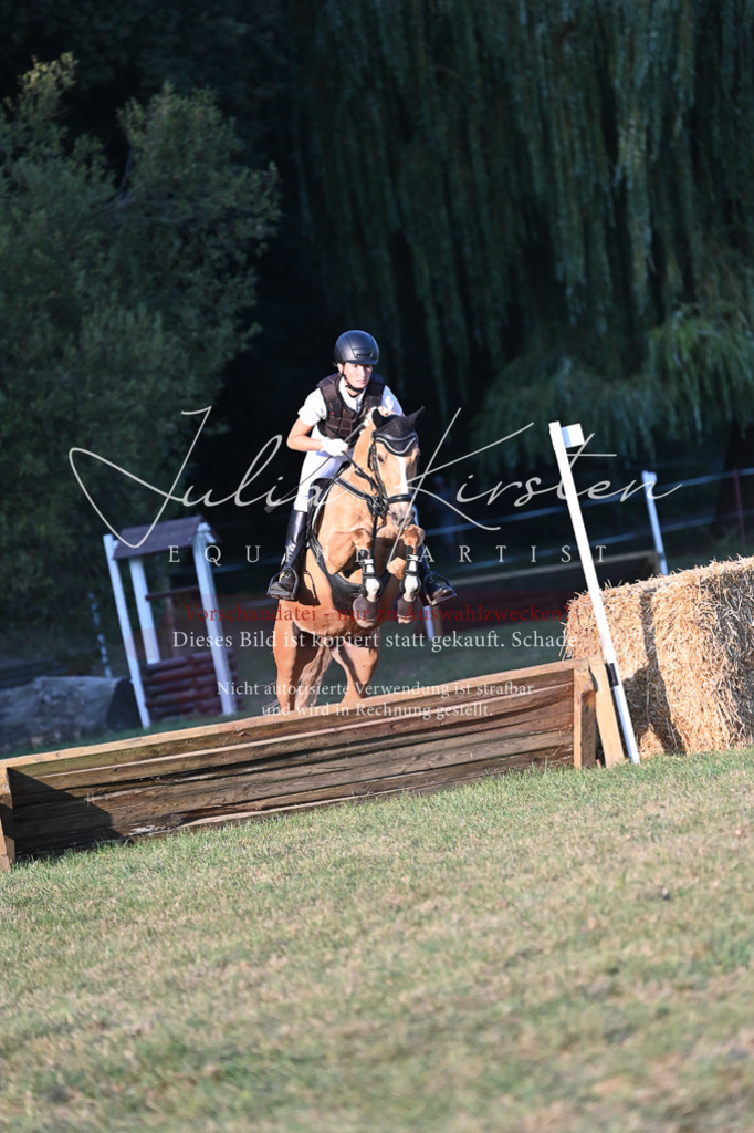 DSC_9238 | Pferde- und Turnierfotografie in Westsachsen. Pferdeportraits, Auftragszeichnungen und intuitive Kunst.