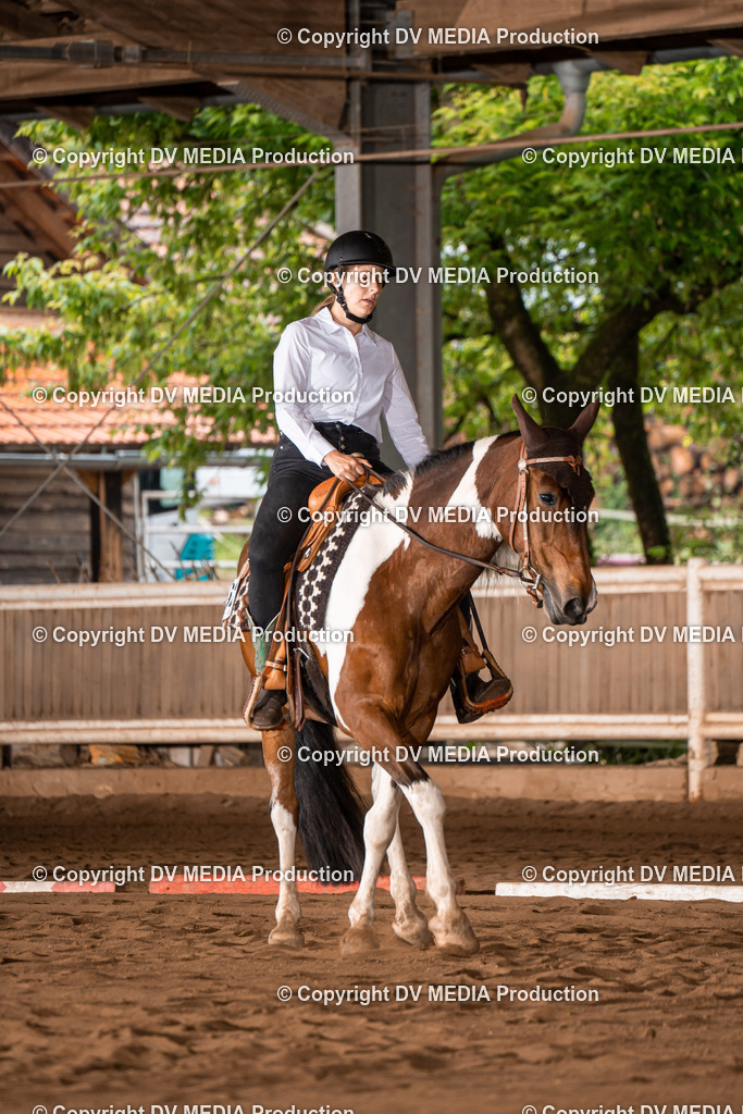 Erbach Tag 2-249 | dv-media-shop - Realisiert mit Pictrs.com