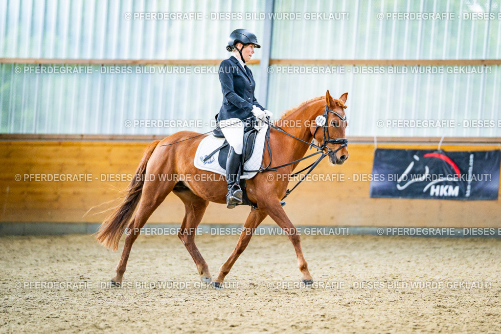 DSC03967 | Pferdegrafie