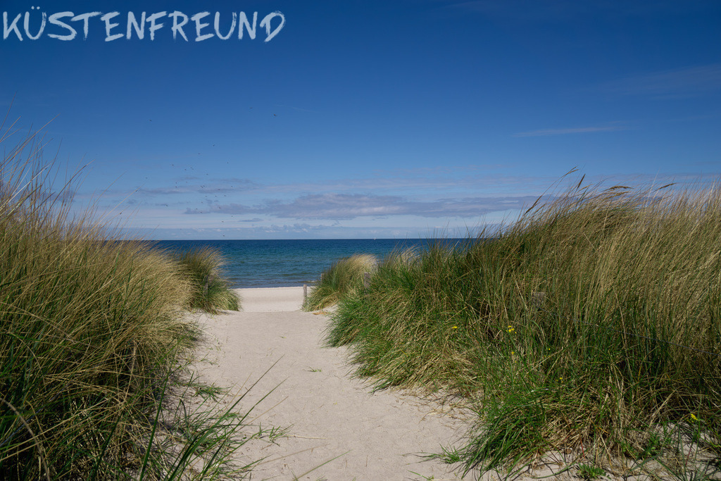 Dünenbild mit Dünenweg zum Strand – Ostsee Bilder | Entdecke deine Lieblingslandschaft von der Küste – auf Ostsee Leinwand, Nordsee Leinwand, Alu Dibond oder Acrylglas, passend für jeden Geschmack und Raum.