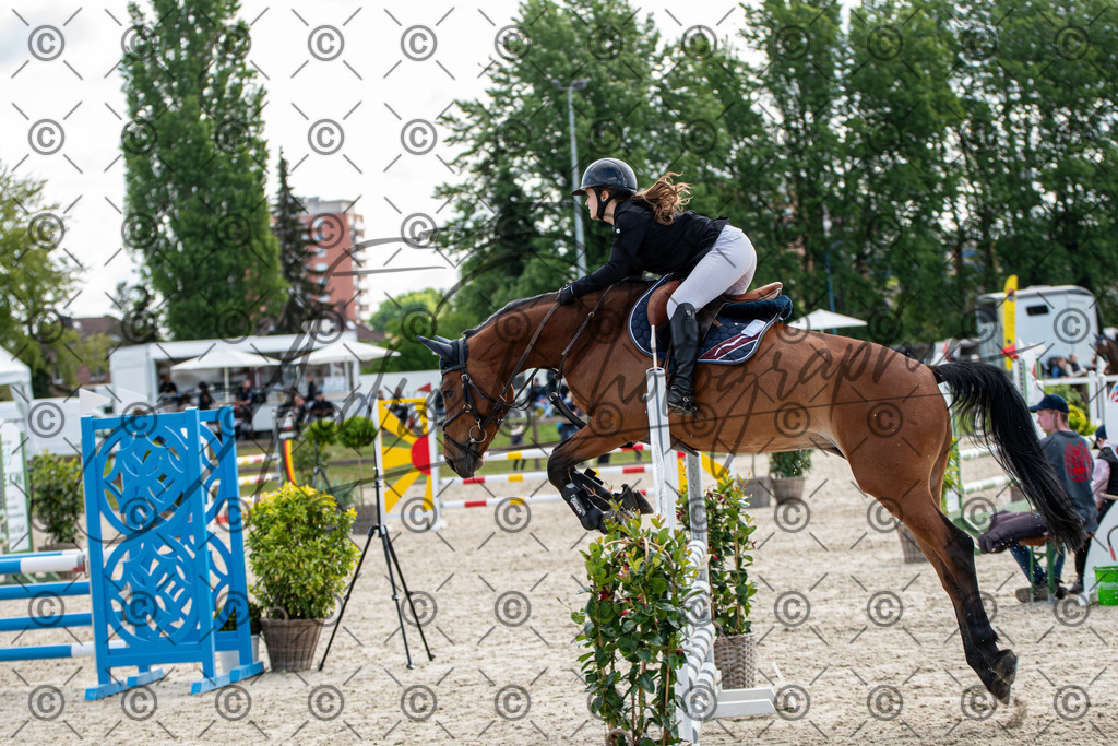 KPT_4754 | andre_photographic