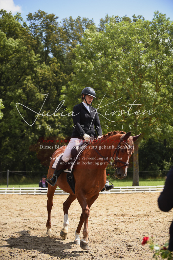 DSC_1164 | Pferde- und Turnierfotografie in Westsachsen. Pferdeportraits, Auftragszeichnungen und intuitive Kunst.