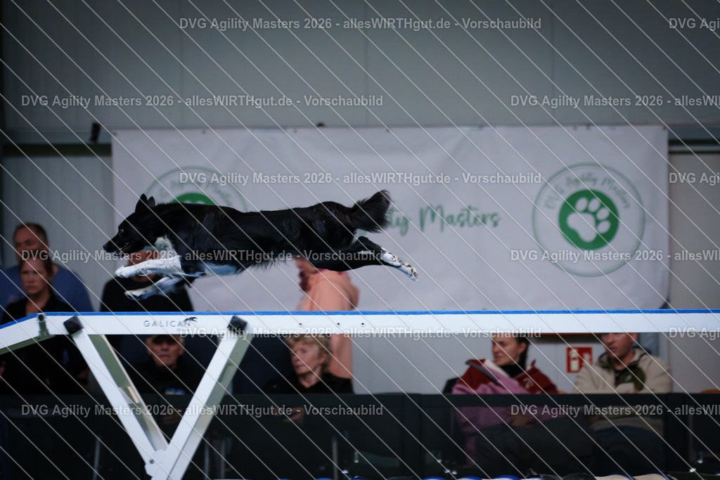 allesWIRTHgut_Tierfotografie-DVG_Agility_Masters_2026-15_58-7R507387 | Professionelle Tierfotografie in Mönchengladbach von Daniel Wirth (allesWIRTHgut). Liebevolle & natürliche Bilder von Hunden & Katzen für unvergessliche Erinnerungen.
