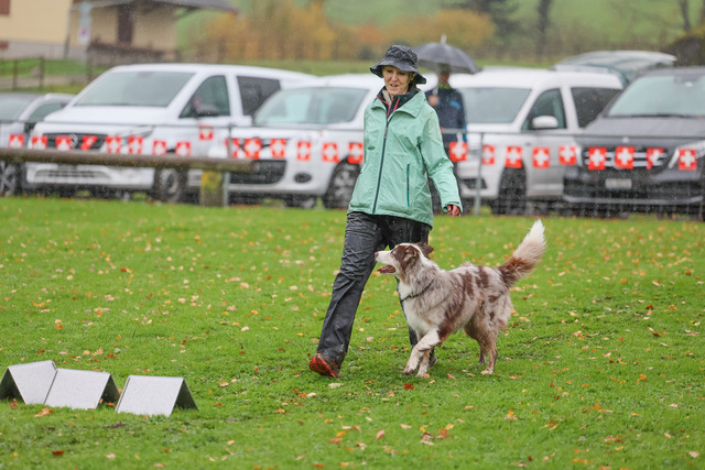 2025_Rally_Obedience_SM-213 | Ich fotografiere Hundeausstellungen, Sportanlässe, Zuchtstätten, Hundezucht, Hundeportrait, Lagotto - Realisiert mit Pictrs.com