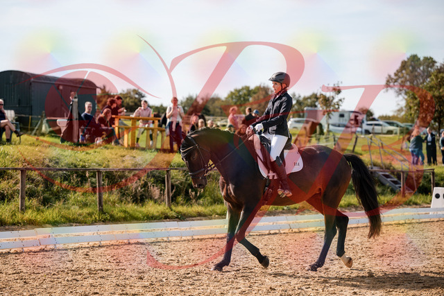 2026_10_03_Siefer-Hof_133622_Z63_96933908 | Professionelle Reitsport-, Turnier- und Eventfotografie von Robert Broda. Galerien mit ausgewählten und bearbeiteten Bildern direkt online ansehen und bestellen.