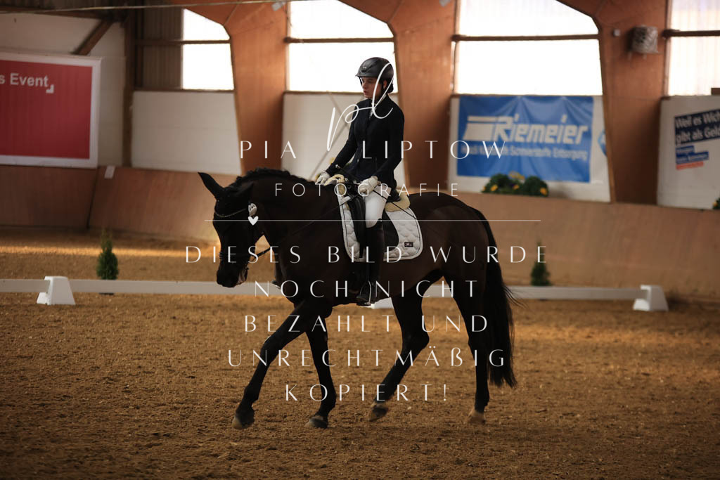 IMGT7430 | pl-fotografie