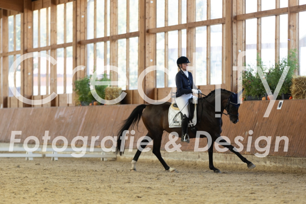 IMG_9917 | Creatify Fotografie