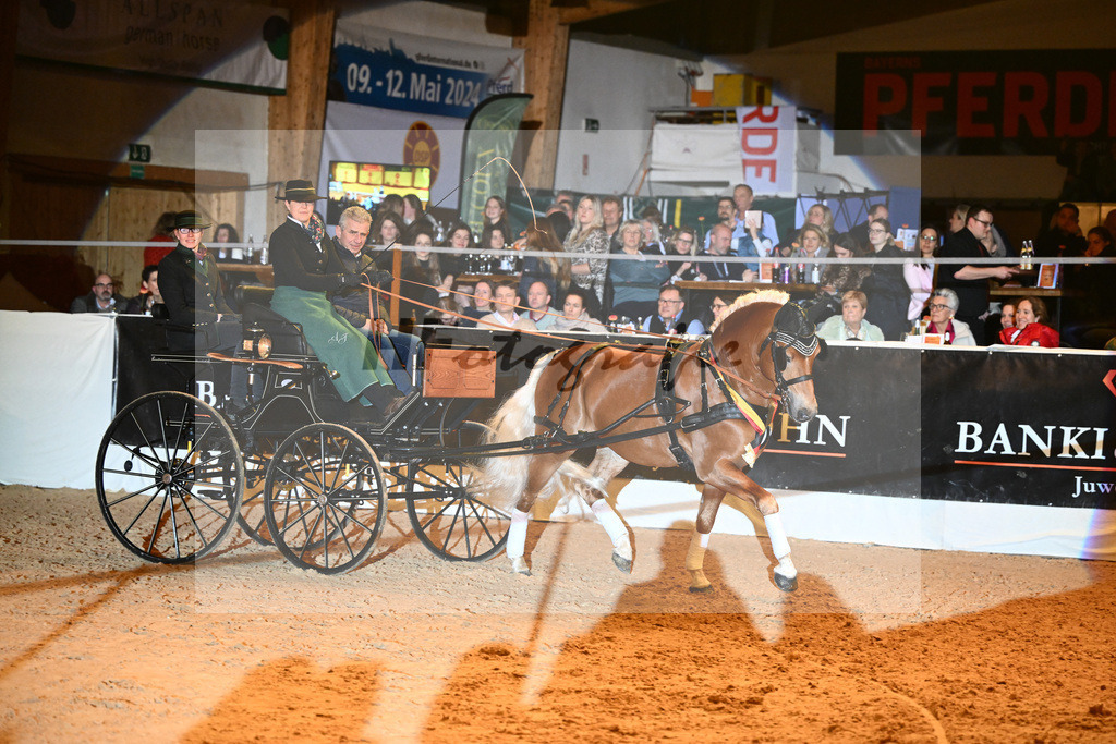 Avici Ass_2242179 | hf-fotografie - Realisiert mit Pictrs.com