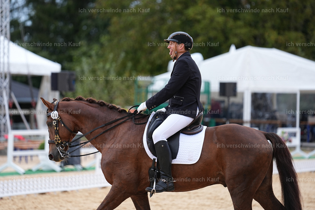 3-239-Dressur M_-Marixx-1941 | working equitationturnier fotograf videograf stoibphotography marixx film working equitation deutschland reitsport turnierfotografie eventfotografie equestrian events