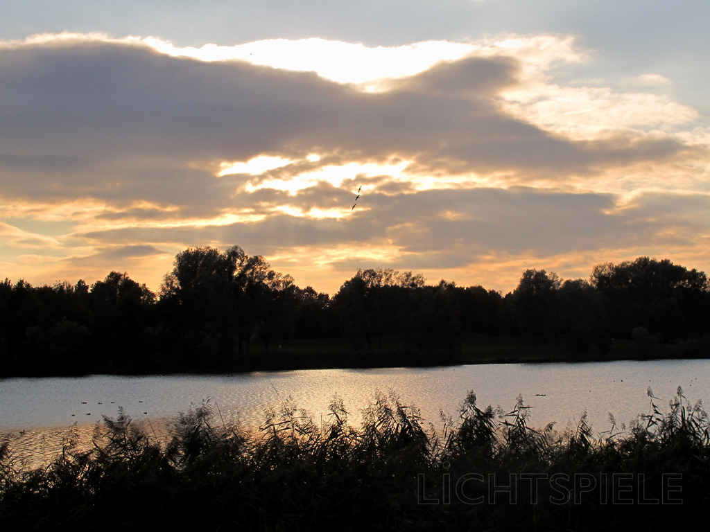 Abendsehnsucht | See im Abendlicht mit drei Vögeln - Realisiert mit Pictrs.com