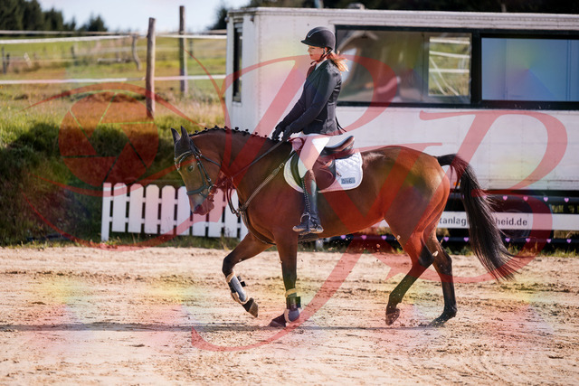 2026_10_03_Siefer-Hof_143549_Z81_04982575 | Professionelle Reitsport-, Turnier- und Eventfotografie von Robert Broda. Galerien mit ausgewählten und bearbeiteten Bildern direkt online ansehen und bestellen.