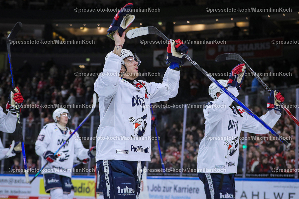KoeDEL08032401083 | 08.03.2024, Köln, Eishockey, Penny DEL, 52. Spieltag, Lanxess-Arena, Kölner Haie - Adler Mannheim: Abschlussjubel nach dem 6:1 Sieg in Köln. Die Mannheimer Mannschaft freut sich über den Erfolg. Denis Reul (Adler Mannheim)