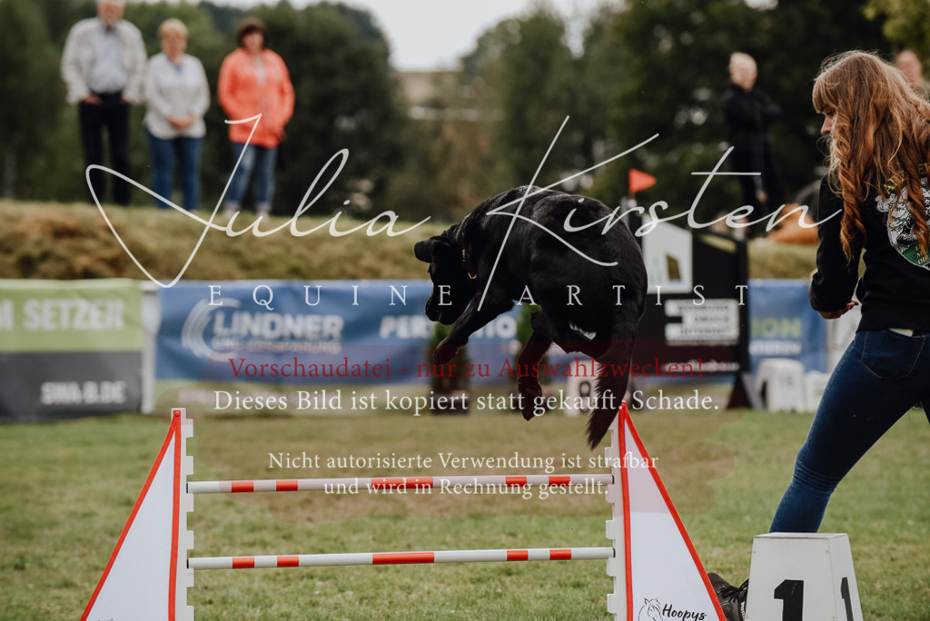 DSC_4003 | Pferde- und Turnierfotografie in Westsachsen. Pferdeportraits, Auftragszeichnungen und intuitive Kunst.