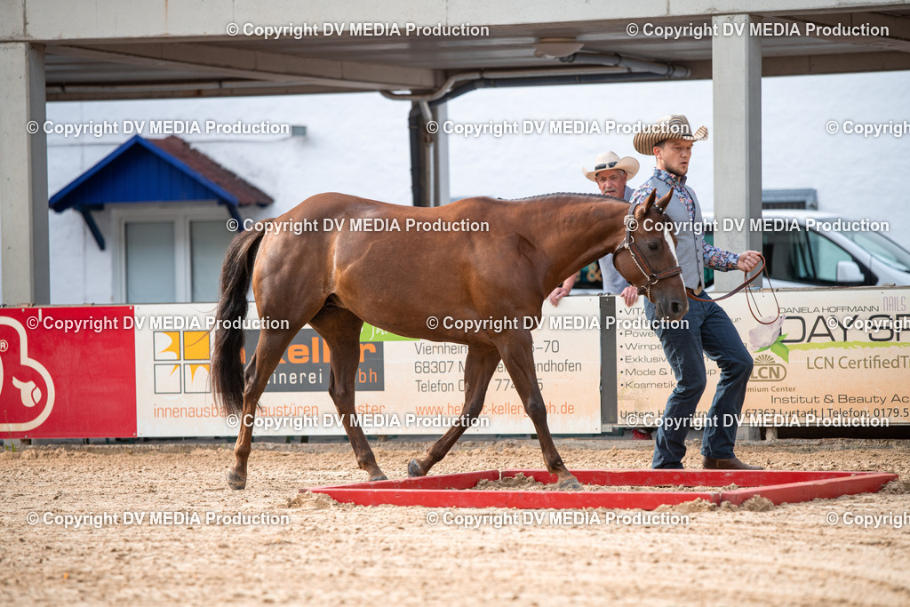 EWP_5540 | dv-media-shop - Realisiert mit Pictrs.com