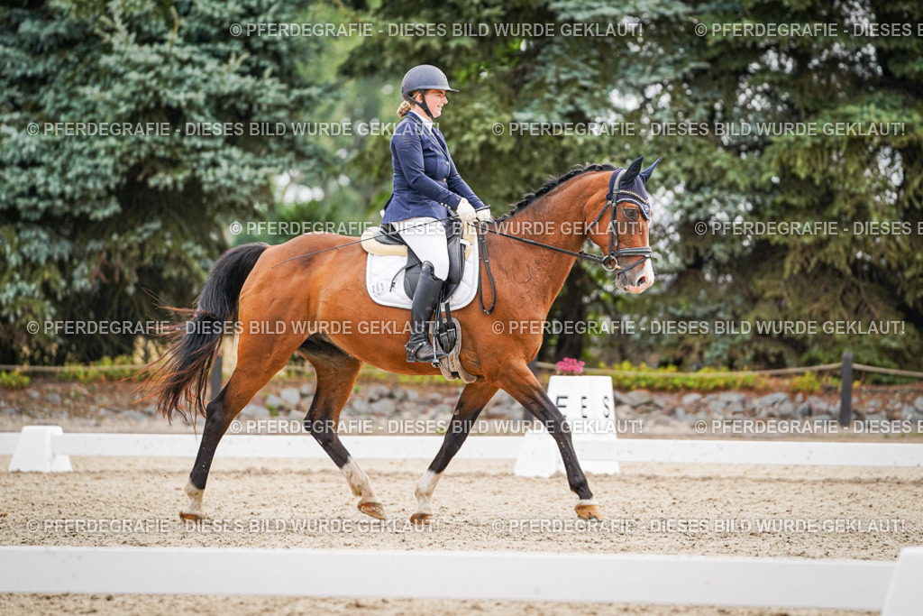 DSC02220 | Pferdegrafie