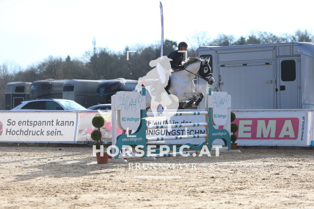 DL2Q3577 | Willkommen bei Brunnmayr - Design & Fotografie – Ihrem Spezialisten für Reitturniere und Pferdeveranstaltungen in Oberösterreich, Salzburg und Bayern! Seit über 17 Jahren sind wir leidenschaftlich dabei.