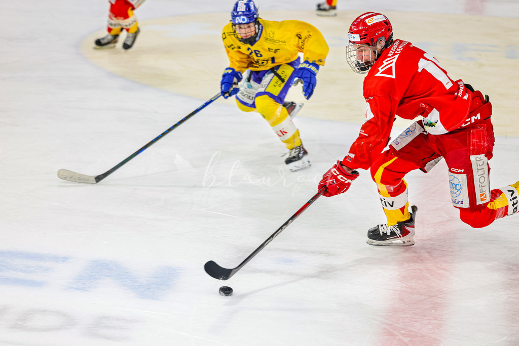 EHCB vs HCD-0282 | Sportbilder, Sportfotograf, Hochzeits- und Eventfotografin, Flugshows, Portraits und Tiershooting, Aviation, Downhill, Nationalleague, Swissleague, International