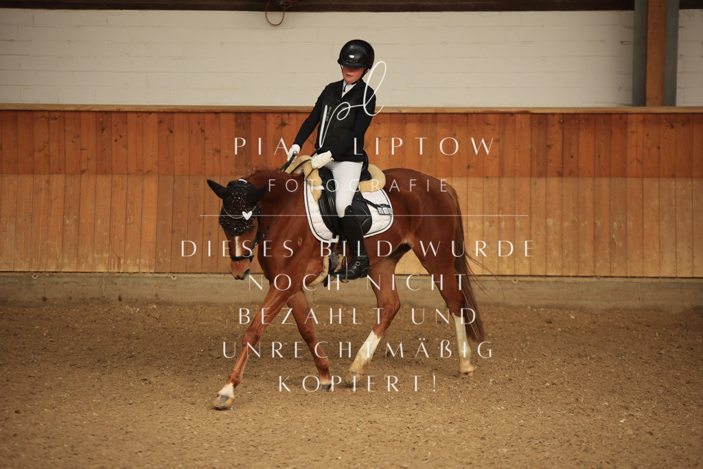 IMGT5526 | pl-fotografie