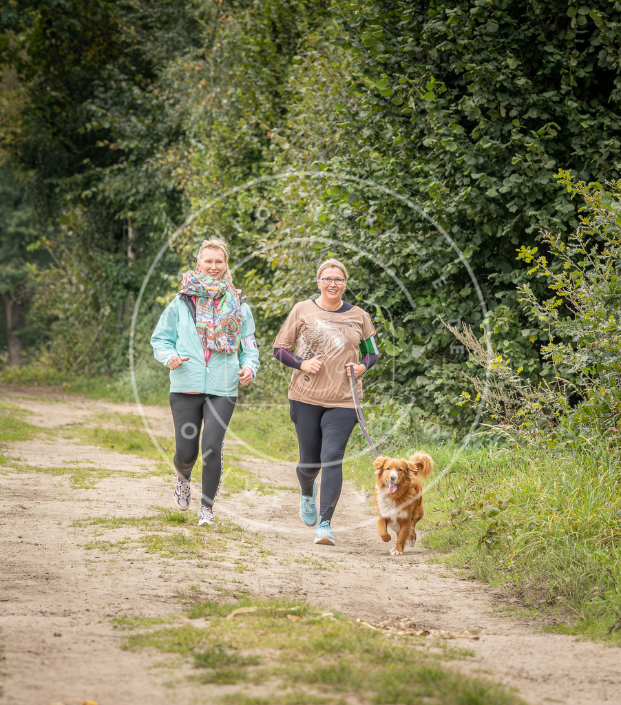 Pfotenfotografie_DV3A6490 | Hundefotografie, Tierfotograf, Pfotenfotografie, Fotoshooting Hund, Hunde Portrait, Hundesport, Hundeportraits, Heideshooting, Hunde, Sportfotograf, Hundefotograf, Turnierhundsport, THS,  - Realisiert mit Pictrs.com