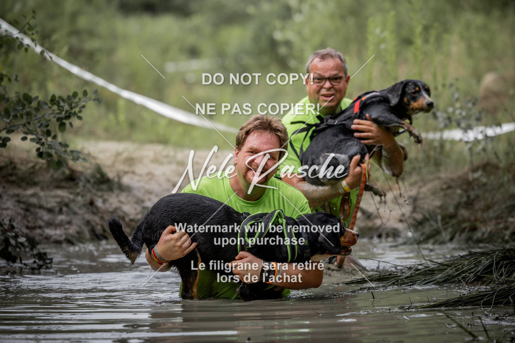 nelerasche_so0800-0930_148 | nelerasche