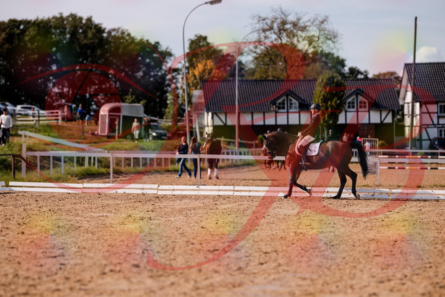 2026_10_03_Siefer-Hof_130850_Z81_61988339 | Professionelle Reitsport-, Turnier- und Eventfotografie von Robert Broda. Galerien mit ausgewählten und bearbeiteten Bildern direkt online ansehen und bestellen.